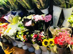 -大自然花鸟鱼虫市场