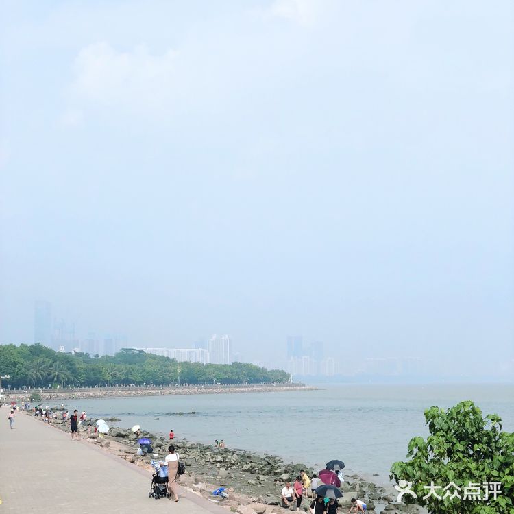 深圳旅游攻略 | 畅享惬意的红树林之旅🌴