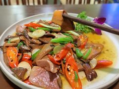 鲜炒黑牛肝菌-紫滇源云南生态菜(丹凤街店)