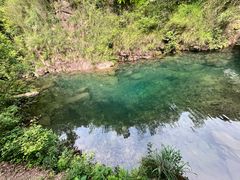 -大奇山国家森林公园