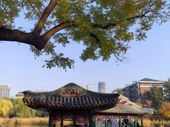 -西海子公园