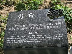 -曹州牡丹园
