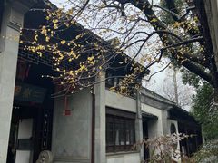 -惠山古镇·寄畅园