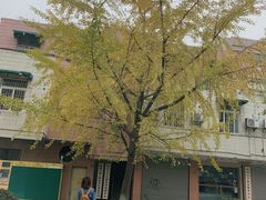 -四川大学(望江校区)