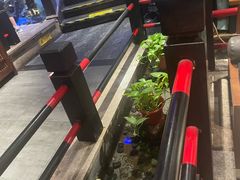 -红蜡烛-养生粥-津鲁菜(中山路店)