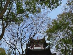 -上海佘山国家森林公园天马山园