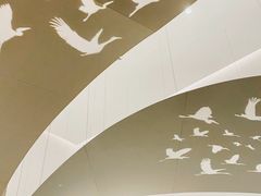 -中国湿地博物馆