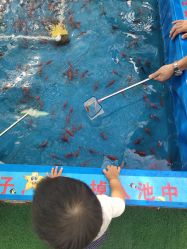 -萌宠亲子动物乐园(槐房万达店)