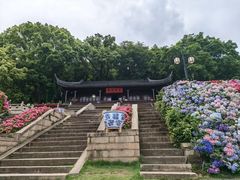 -苏州上方山国家森林公园