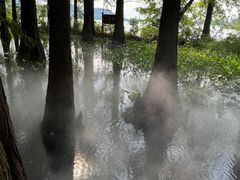 -东湖落雁景区