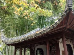 -秋霞圃