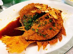 -锦江饭店锦北楼-锦江厅