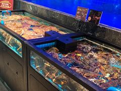 -忆江南·临江鱼馆