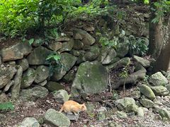 -雁荡山大龙湫景区