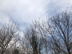 -木守西溪溪隐餐厅