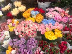-无锡文化工艺品市场(槐古路店)