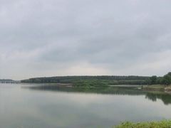 -丁香湖公园