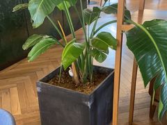 -Wagas沃歌斯(江浦路店)