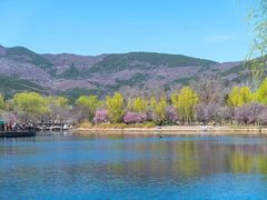 -北京植物园-展览温室