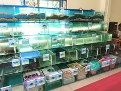 -琼大师东方烤乳猪(亚特兰蒂斯店)