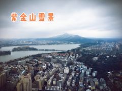-紫峰大厦