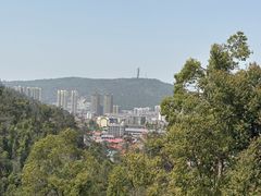 -青龙山国家森林公园