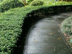 -晓港公园