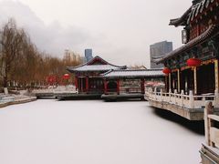 -雁滩公园