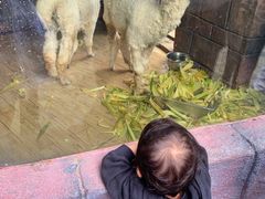 -杭州海底世界