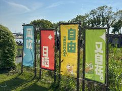 -动邦皮划艇·桨板·独木舟·团建户外运动俱乐部