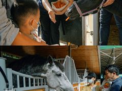 -名驭国际马术学院