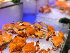 -圣丰索菲特·2 On 988 Café 自助餐厅