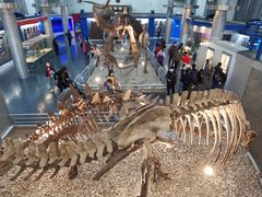 -国家自然博物馆