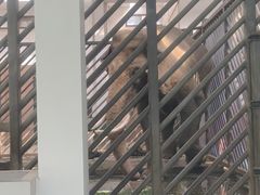 -成都动物园