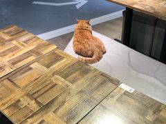 -小时光咖啡馆(开森度假森林店)