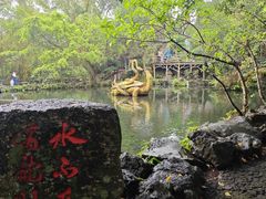 -海口火山口国家地质公园