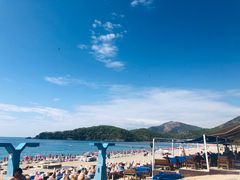 -费特希耶滑翔伞