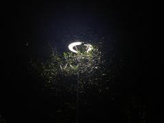 -紫滇源云南生态菜(丹凤街店)