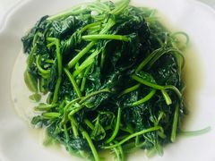 清炒红薯尖-旅宁大酒店