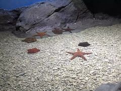 -多彩贵州城极地海洋世界