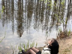 -白鹭湾湿地公园