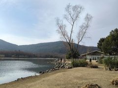 -长广溪湿地公园