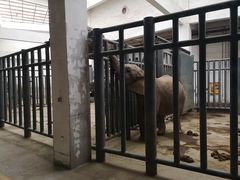 -鄂尔多斯野生动物园