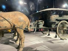 -秦始皇帝陵博物院-丽山园