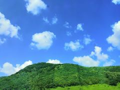 -御道口草原森林风景区