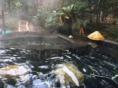 -明月山天沐温泉度假村