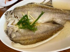 -协和菜馆(凤凰街店)