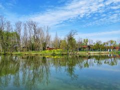 -溱湖国家湿地公园