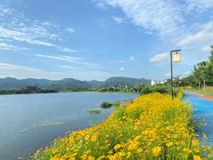 -深圳凯宾斯基酒店