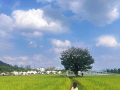 -艾米稻香小镇